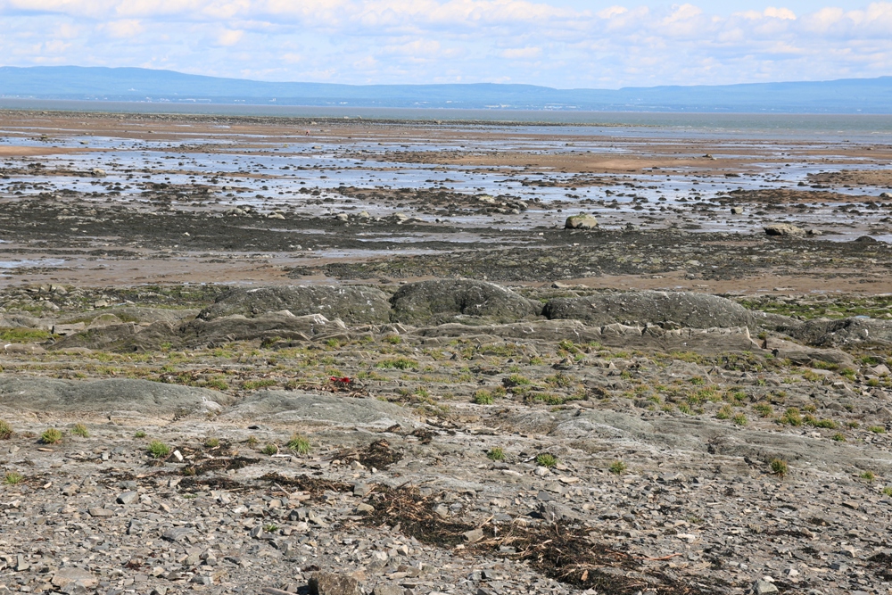 Ile aux coudres