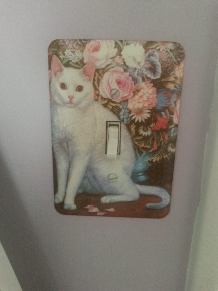 cat light switch