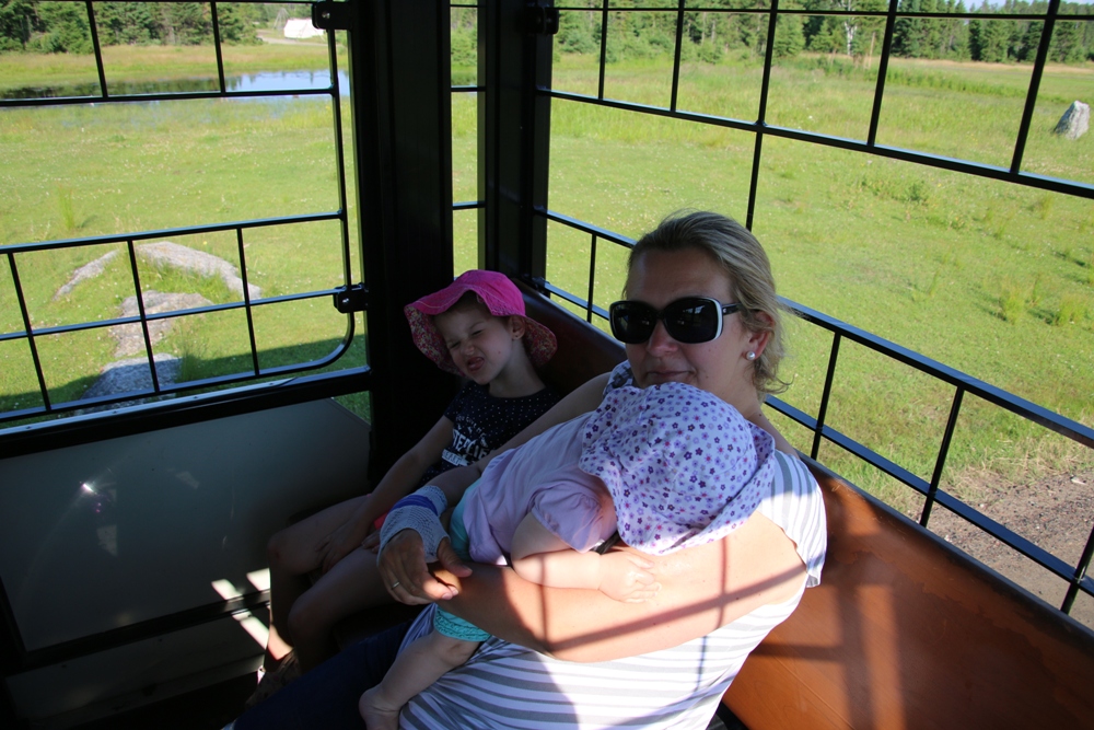 on the train at the zoo