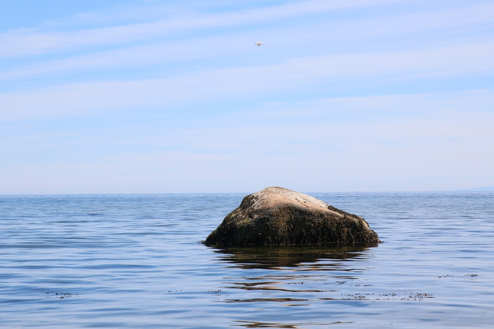 giant rock