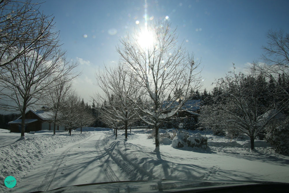 our driveway