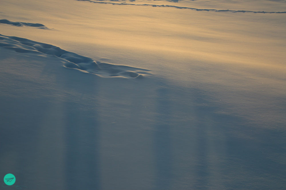 traces in the snow