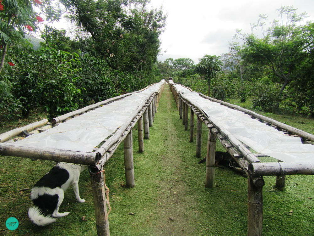 drying station