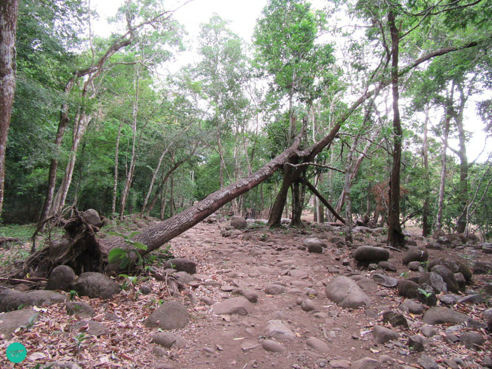 hiking trail to the hot springs