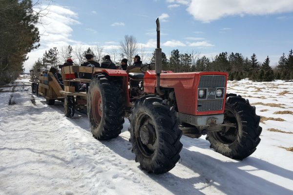 tractor at Quinn Farm