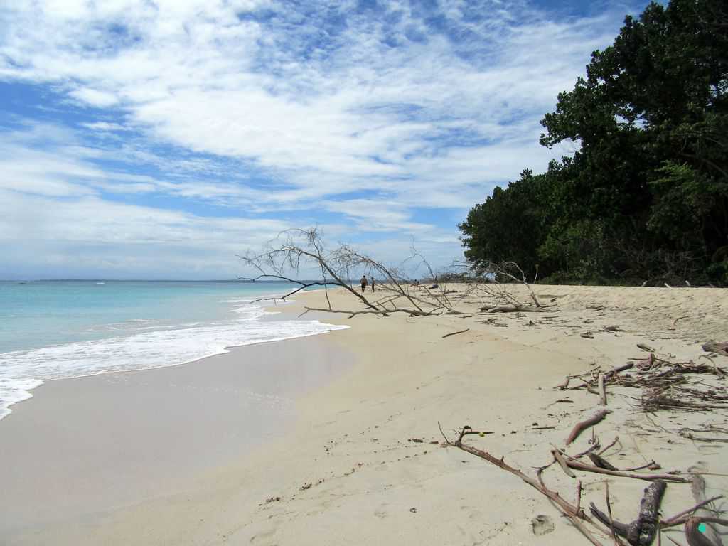 Beach at Isla Zapatilla Bocas del Toro in Panama