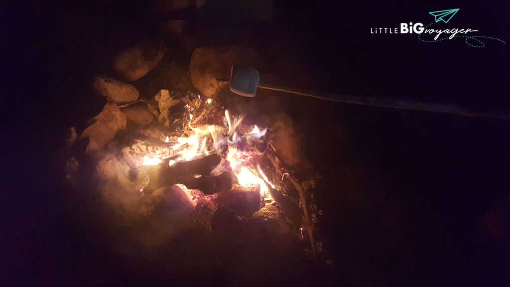 campfire with marshmallows